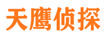 雁塔市侦探调查公司